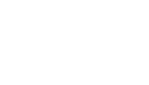 Logo for Toast and Co